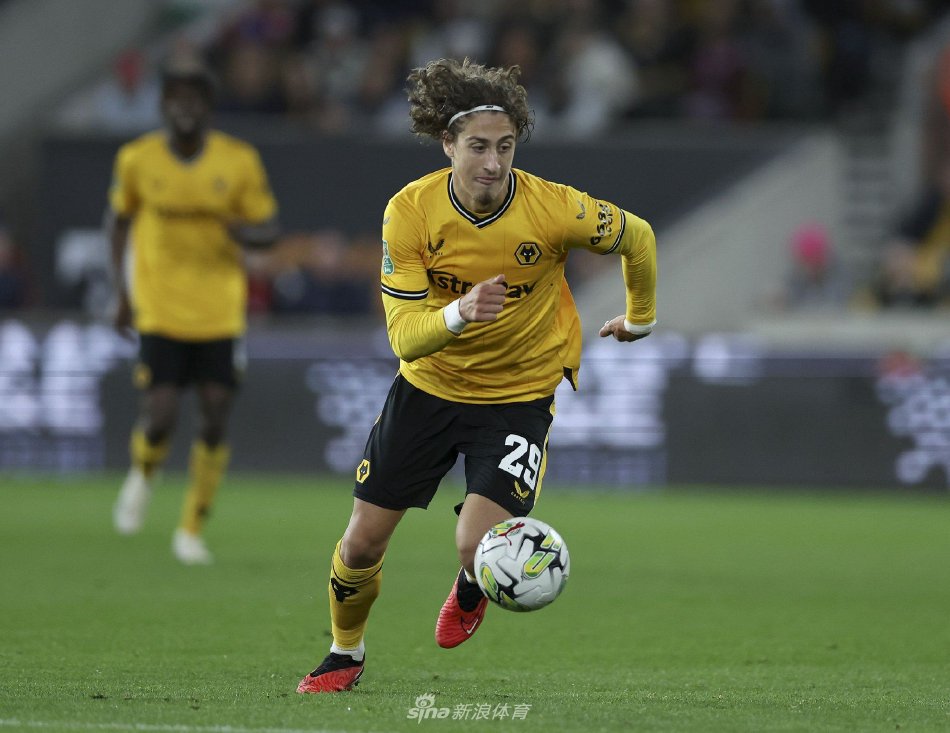 卫范戴克 卫范戴克